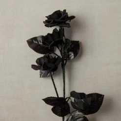 New 🛒 12 Pack: Black Diamond Rose Spray by Ashland® 🧨 -Ashland Sales MP012412 25