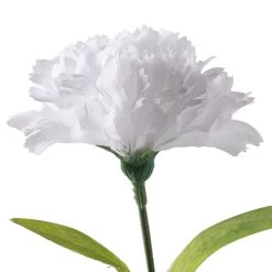 Best deal 😍 24 Pack: White Carnation Spray by Ashland® 👏 -Ashland Sales MP017878 20