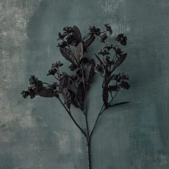 Cheapest 😉 12 Pack: Black Double Baby's Breath Spray by Ashland® 🎉 -Ashland Sales MP035277 20