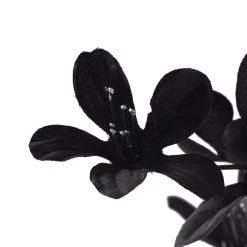 Cheap 🎁 12 Pack: Charcoal Gray Azalea Spray by Ashland® 🔥 -Ashland Sales MP035291 20