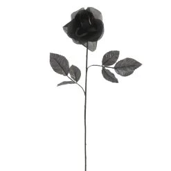 Flash Sale ❤️ 12 Pack: Black Open Rose Stem by Ashland™ 😀