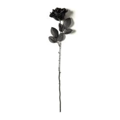 Flash Sale ❤️ 12 Pack: Black Open Rose Stem by Ashland™ 😀 -Ashland Sales MP035292 21