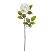 Brand new ⌛ 24 Pack: White Holland Rose Stem by Ashland® 🎉 -Ashland Sales MP056110 1