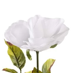 Brand new ⌛ 24 Pack: White Holland Rose Stem by Ashland® 🎉 -Ashland Sales MP056110 20