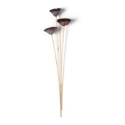 Deals ✨ 12 Pack: Natural Lotus Pods Stem by Ashland® ⌛ -Ashland Sales MP065712 21