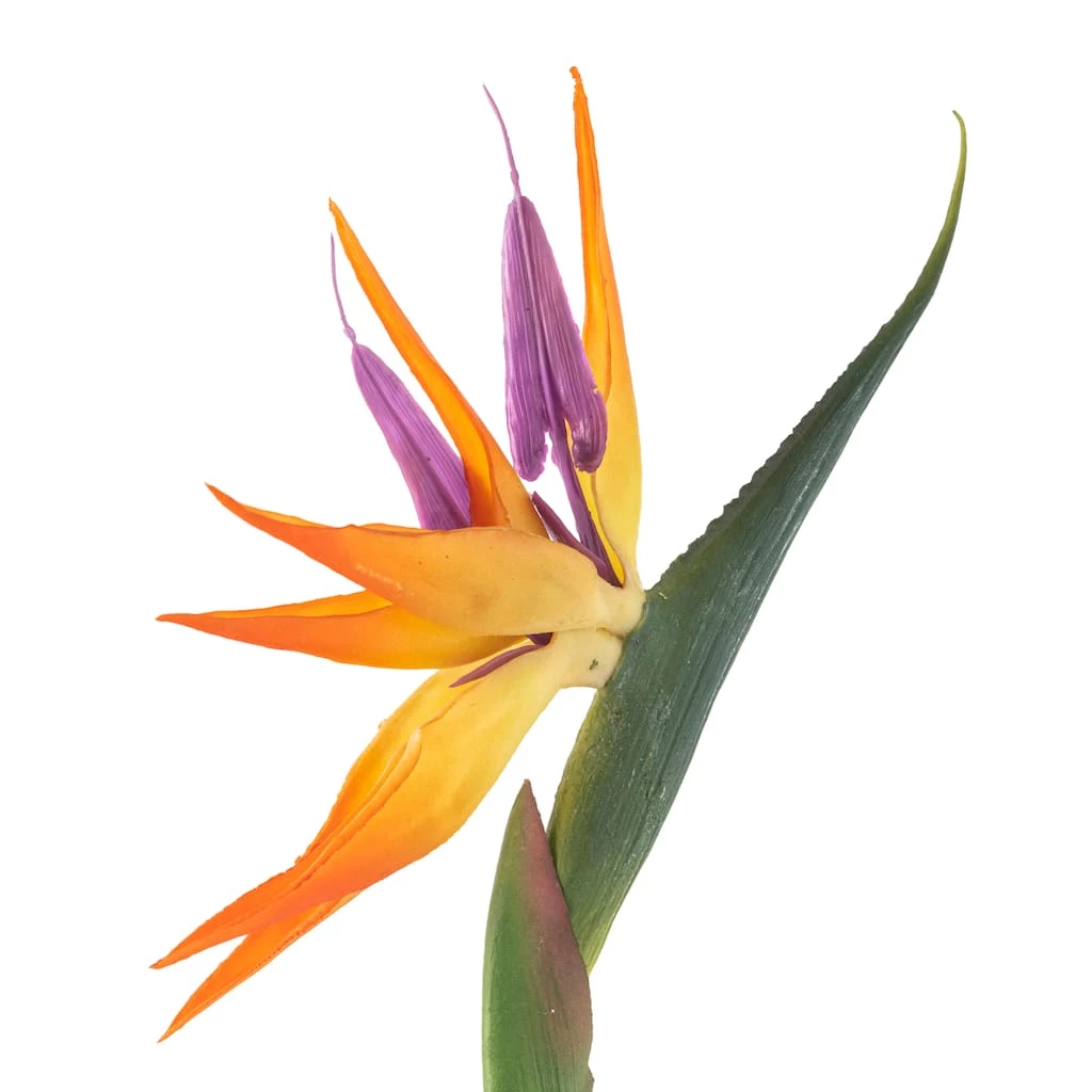 Coupon π 12 Pack: Yellow Bird of Paradise Stem by Ashland® π 6 Coupon π 12 Pack: Yellow Bird of Paradise Stem by Ashland® π - Image 4