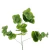 Wholesale 🥰 12 Pack: Green Eucalyptus Branch by Ashland® 🤩 -Ashland Sales MP067561 31
