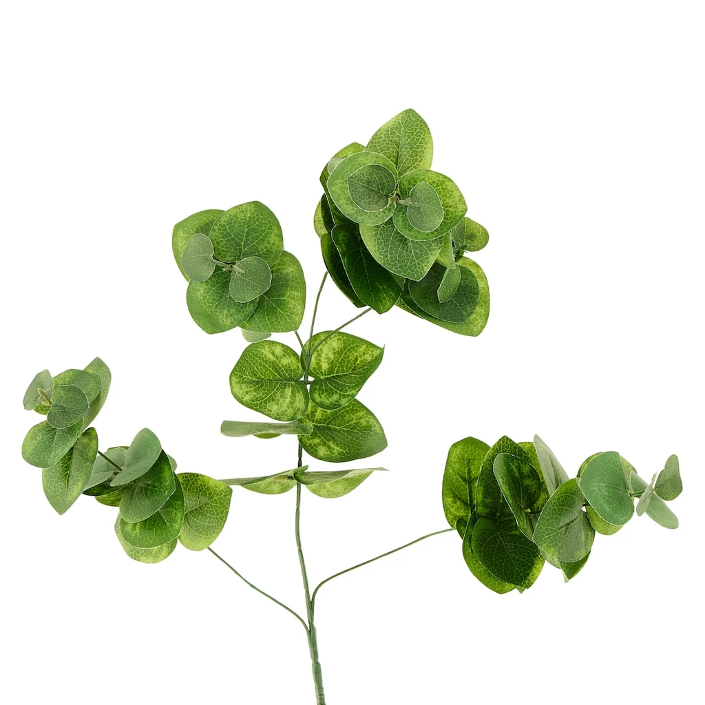Wholesale 🥰 12 Pack: Green Eucalyptus Branch by Ashland® 🤩 3 Wholesale 🥰 12 Pack: Green Eucalyptus Branch by Ashland® 🤩