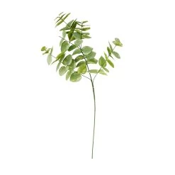 Cheap ⌛ 12 Pack: Green Eucalyptus Branch by Ashland® 💯 -Ashland Sales MP067587 30