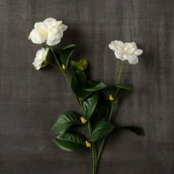 Best Pirce 🔥 12 Pack: White Gardenia Spray by Ashland® 😍 -Ashland Sales MP107972 25