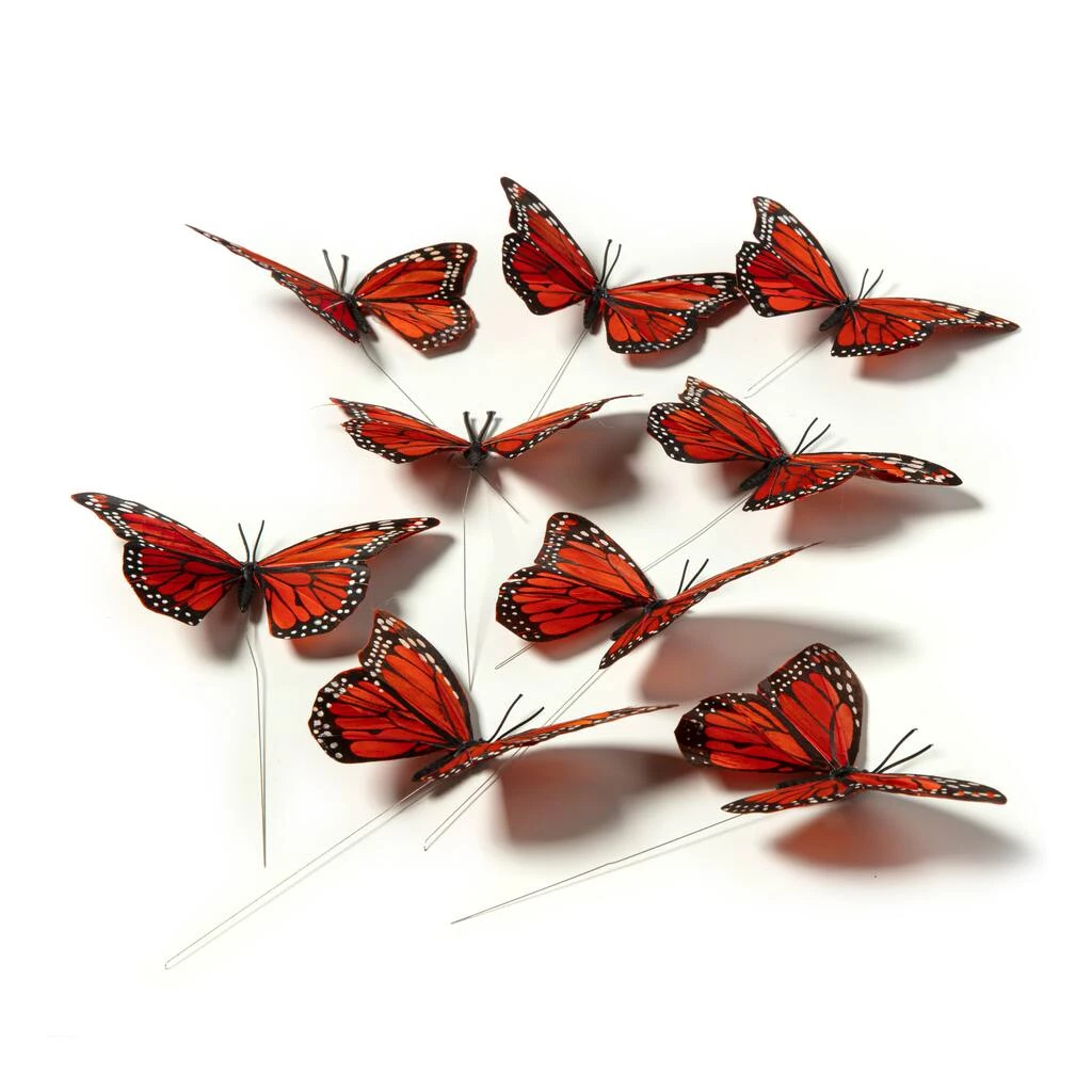 Best reviews of 🛒 8 Packs: 8 ct. (64 total) Assorted 8.6" Monarch Butterfly Pack by Ashland® 🔥 5 Best reviews of 🛒 8 Packs: 8 ct. (64 total) Assorted 8.6" Monarch Butterfly Pack by Ashland® 🔥 - Image 3