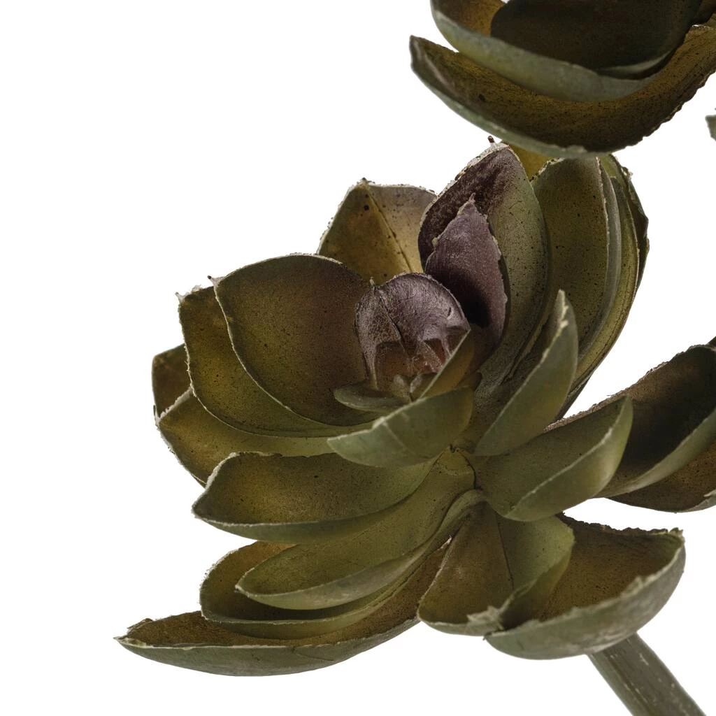 Budget 👏 12 Pack: Assorted Succulent Pick by Ashland® 👍 4 Budget 👏 12 Pack: Assorted Succulent Pick by Ashland® 👍 - Image 2