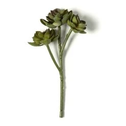 Budget 👏 12 Pack: Assorted Succulent Pick by Ashland® 👍 8 Budget 👏 12 Pack: Assorted Succulent Pick by Ashland® 👍 -Ashland Sales MP128870 21