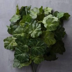 Flash Sale ✔️ 10 Pack: Coral Bell Bush by Ashland® 👏 -Ashland Sales MP129104 25