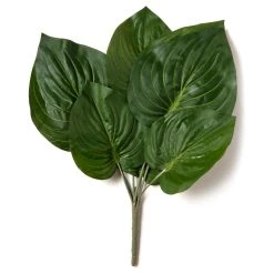 Top 10 ⭐ 12 Pack: Green Hosta Bush by Ashland® 😍 -Ashland Sales MP131106 21