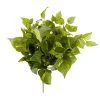 Hot Sale 👏 12 Pack: Pothos Bush by Ashland® Real Touch™ 🔔 -Ashland Sales MP131108 1