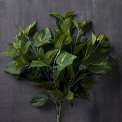 Hot Sale 👏 12 Pack: Pothos Bush by Ashland® Real Touch™ 🔔 -Ashland Sales MP131108 22