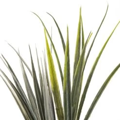 Budget 👏 24 Pack: Assorted Wild Grass Bush by Ashland® ⭐ -Ashland Sales MP133407 20