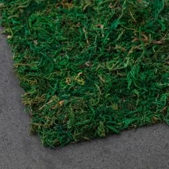 Brand new 🤩 12 Pack: Moss Table Runner by Ashland® ⭐ -Ashland Sales MP135021 21