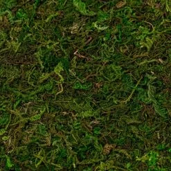 Wholesale ✔️ 12 Pack: Moss Mat by Ashland® ⌛ -Ashland Sales MP135027 22