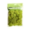 Flash Sale 🎁 12 Pack: Reindeer Moss by Ashland® ✨ -Ashland Sales MP135038 1