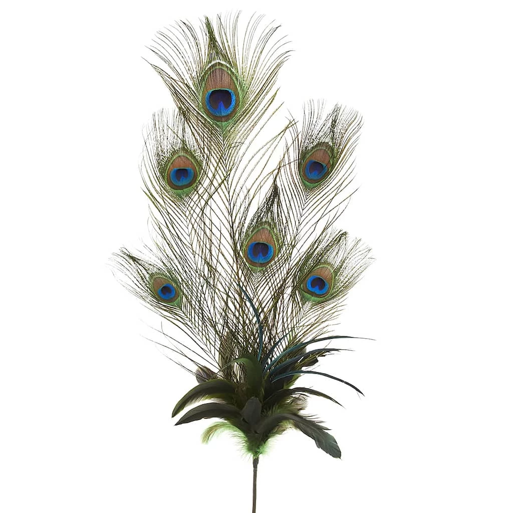 Best deal 🔔 12 Pack: Peacock Feather Pick by Ashland® 🔥 3 Best deal 🔔 12 Pack: Peacock Feather Pick by Ashland® 🔥