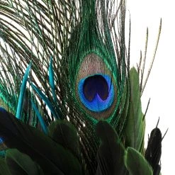 Best deal 🔔 12 Pack: Peacock Feather Pick by Ashland® 🔥 6 Best deal 🔔 12 Pack: Peacock Feather Pick by Ashland® 🔥 -Ashland Sales MP150741 20