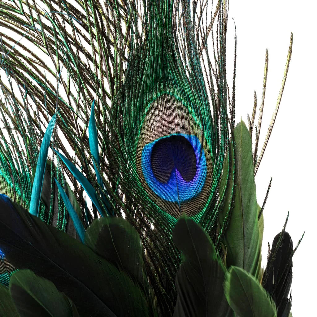 Best deal 🔔 12 Pack: Peacock Feather Pick by Ashland® 🔥 4 Best deal 🔔 12 Pack: Peacock Feather Pick by Ashland® 🔥 - Image 2