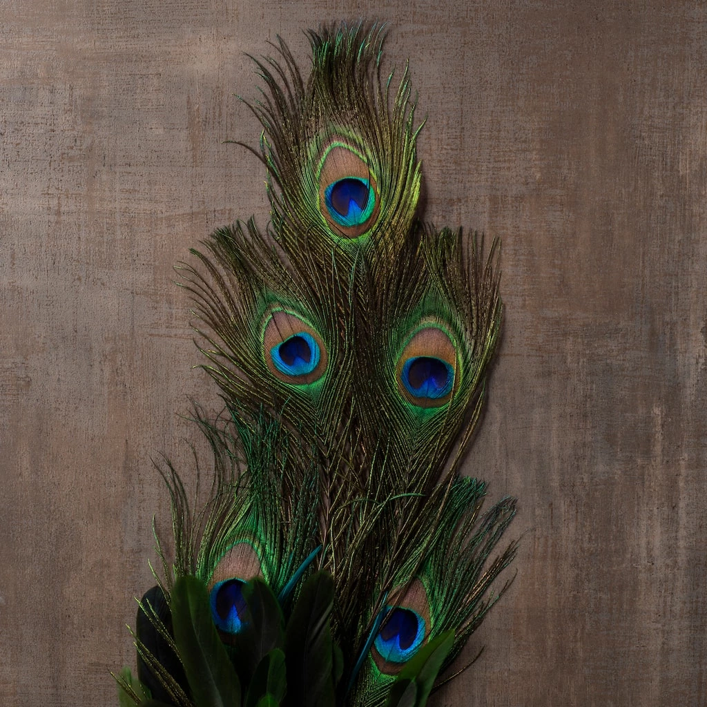 Best deal 🔔 12 Pack: Peacock Feather Pick by Ashland® 🔥 5 Best deal 🔔 12 Pack: Peacock Feather Pick by Ashland® 🔥 - Image 3