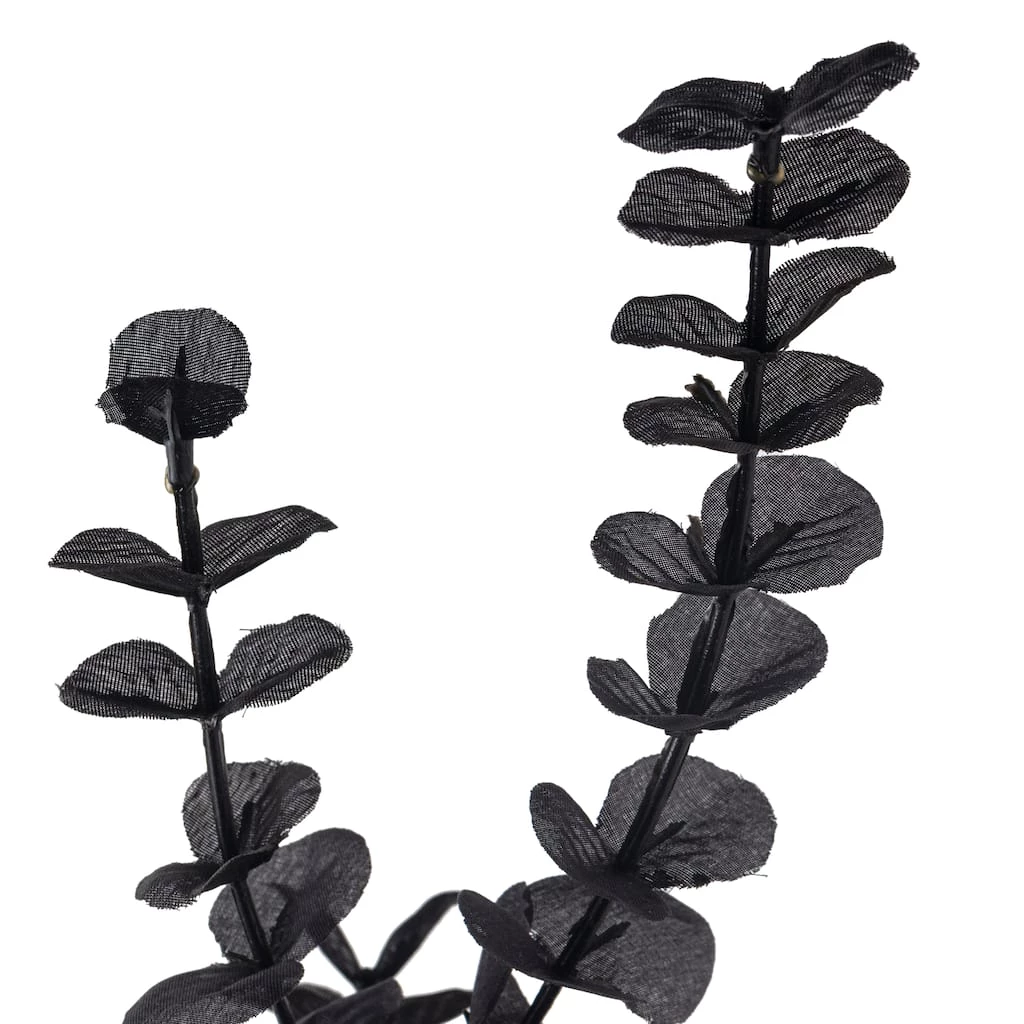 Promo ๐ 12 Pack: Black Eucalyptus Spray by Ashland® ๐งจ 5 Promo ๐ 12 Pack: Black Eucalyptus Spray by Ashland® ๐งจ - Image 3