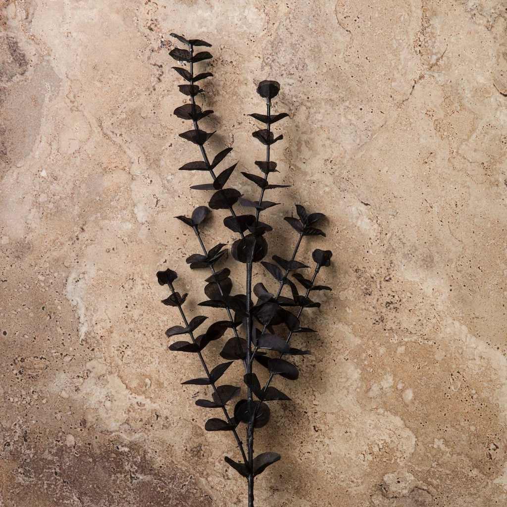 Promo ๐ 12 Pack: Black Eucalyptus Spray by Ashland® ๐งจ 6 Promo ๐ 12 Pack: Black Eucalyptus Spray by Ashland® ๐งจ - Image 4