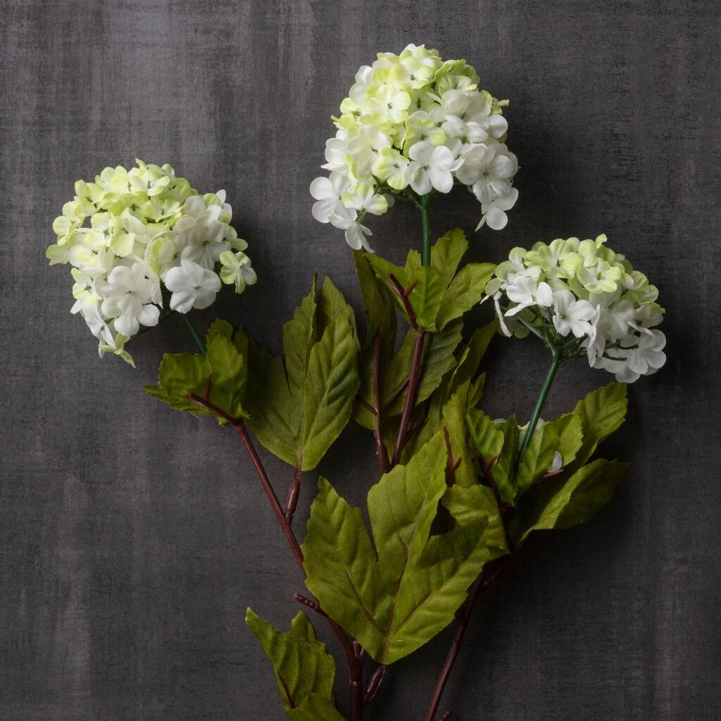 Outlet π 12 Pack: White Snowball Spray by Ashland® π€© 6 Outlet π 12 Pack: White Snowball Spray by Ashland® π€© - Image 4