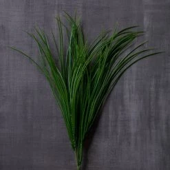 Buy 🥰 8 Pack: Assorted Grass Bush by Ashland® ⭐ -Ashland Sales MP189538 25