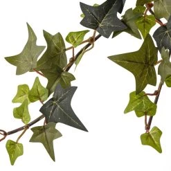 Hot Sale ⌛ 12 Pack: Star Ivy Bush by Ashland® 🧨 -Ashland Sales MP194917 20