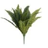 Buy 😀 12 Pack: Boston Fern Bush by Ashland® 🎁 1 Buy 😀 12 Pack: Boston Fern Bush by Ashland® 🎁 -Ashland Sales MP194922