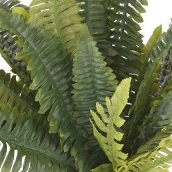 Buy 😀 12 Pack: Boston Fern Bush by Ashland® 🎁 -Ashland Sales MP194922 2
