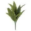 Best Sale 👏 12 Pack: Green Boston Fern Bush by Ashland® 🎁