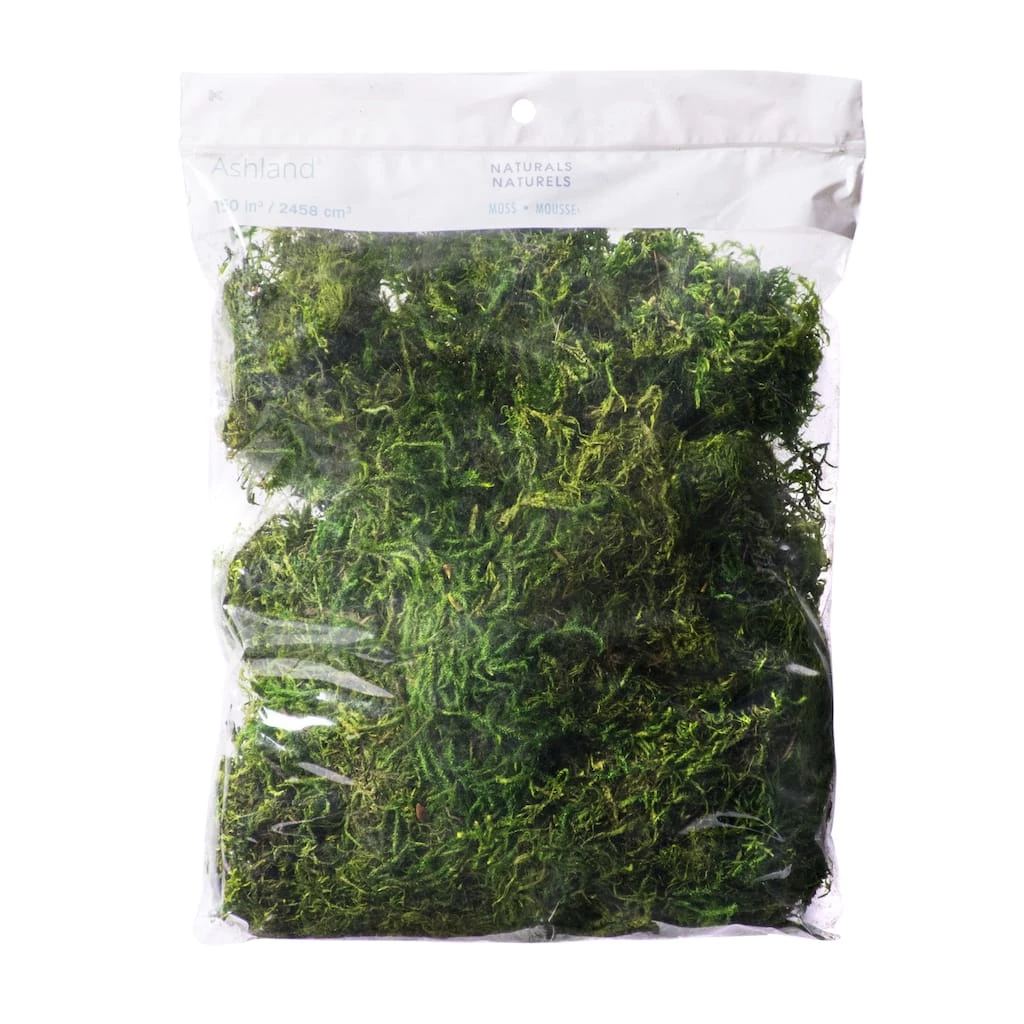 Cheap 💯 12 Pack: Preserved Forest Moss by Ashland® 🧨 3 Cheap 💯 12 Pack: Preserved Forest Moss by Ashland® 🧨