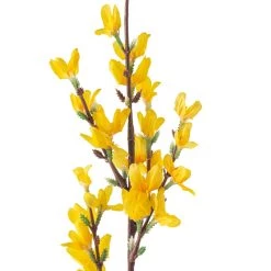 Top 10 🎁 12 Pack: Yellow Forsythia Branch Spray by Ashland® 🌟 -Ashland Sales MP205308 20