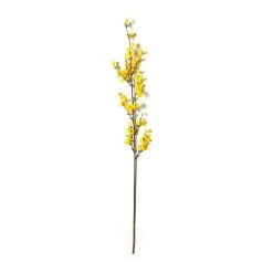 Top 10 🎁 12 Pack: Yellow Forsythia Branch Spray by Ashland® 🌟 -Ashland Sales MP205308 21