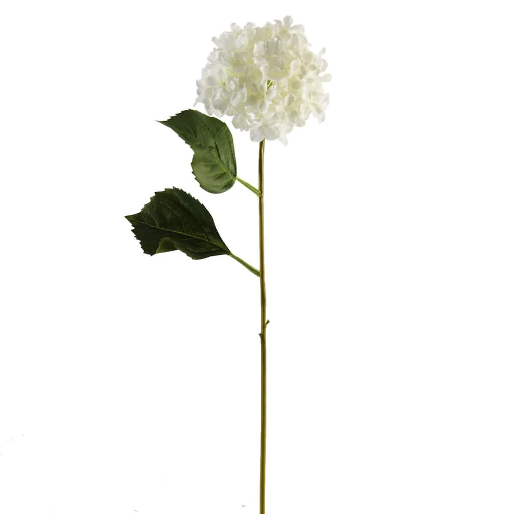 Best reviews of 😍 12 Pack: White Hydrangea Spray by Ashland® ✔️ 3 Best reviews of 😍 12 Pack: White Hydrangea Spray by Ashland® ✔️