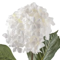 Best reviews of 😍 12 Pack: White Hydrangea Spray by Ashland® ✔️ 7 Best reviews of 😍 12 Pack: White Hydrangea Spray by Ashland® ✔️ -Ashland Sales MP213406 20