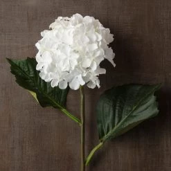 Best reviews of 😍 12 Pack: White Hydrangea Spray by Ashland® ✔️ 9 Best reviews of 😍 12 Pack: White Hydrangea Spray by Ashland® ✔️ -Ashland Sales MP213406 25