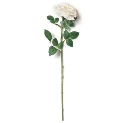 Top 10 👏 12 Pack: White Sophia Rose Stem by Ashland® 🤩 -Ashland Sales MP213470 21
