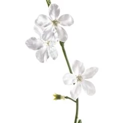 Buy 🛒 12 Pack: White Flower Spray by Ashland® 🌟 -Ashland Sales MP213495 20