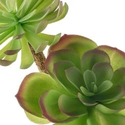 Budget ⌛ 12 Pack: Assorted Red Tipped Succulent Pick by Ashland® 😉 -Ashland Sales MP229986 20