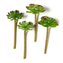 Budget ⌛ 12 Pack: Assorted Red Tipped Succulent Pick by Ashland® 😉 -Ashland Sales MP229986 21