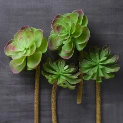 Budget ⌛ 12 Pack: Assorted Red Tipped Succulent Pick by Ashland® 😉 -Ashland Sales MP229986 22