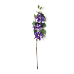 Cheapest 🎁 12 Pack: Purple Clematis Stem by Ashland® ✨ -Ashland Sales MP230902 21