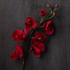 Best Pirce ✨ 6 Pack: Red Orchid Stem by Ashland® 🎉 -Ashland Sales MP230911 22